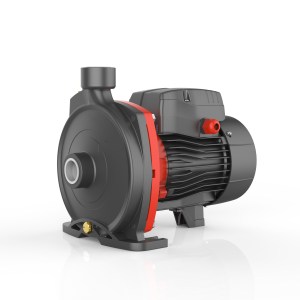 Elettropompa Centrifuga LEO ACm75 1 HP 0,75 kW Monofase